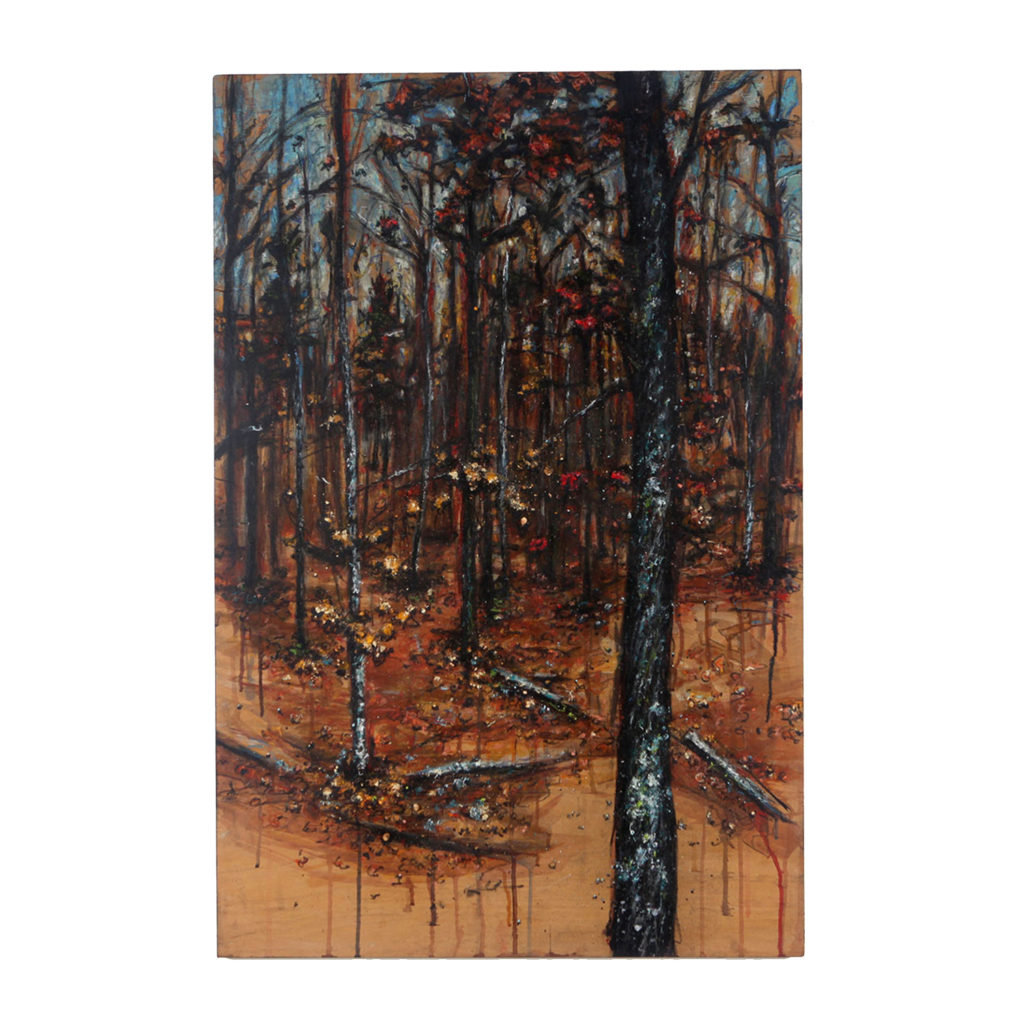 Gallery – Jason Van Roo